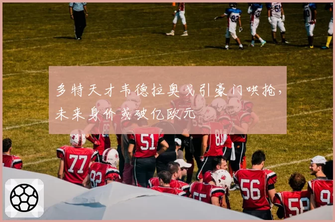 多特天才韦德拉奥戈引豪门哄抢,未来身价或破亿欧元