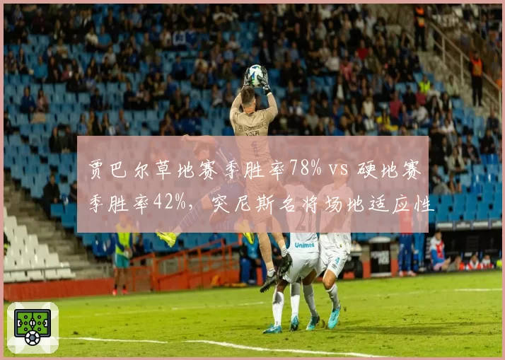 贾巴尔草地赛季胜率78% vs 硬地赛季胜率42%,突尼斯名将场地适应性两极分化